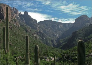 Looking up Finger Rock canyon